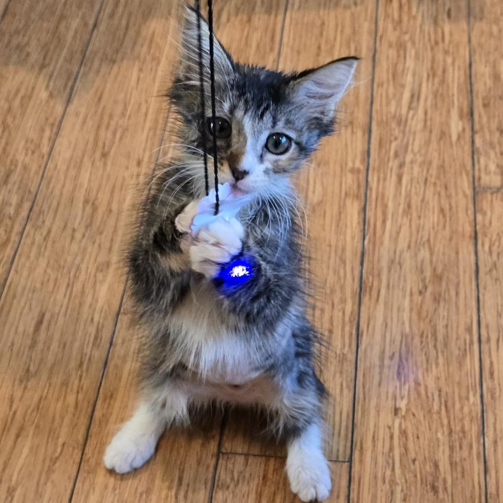 Heather — thumbnail 4