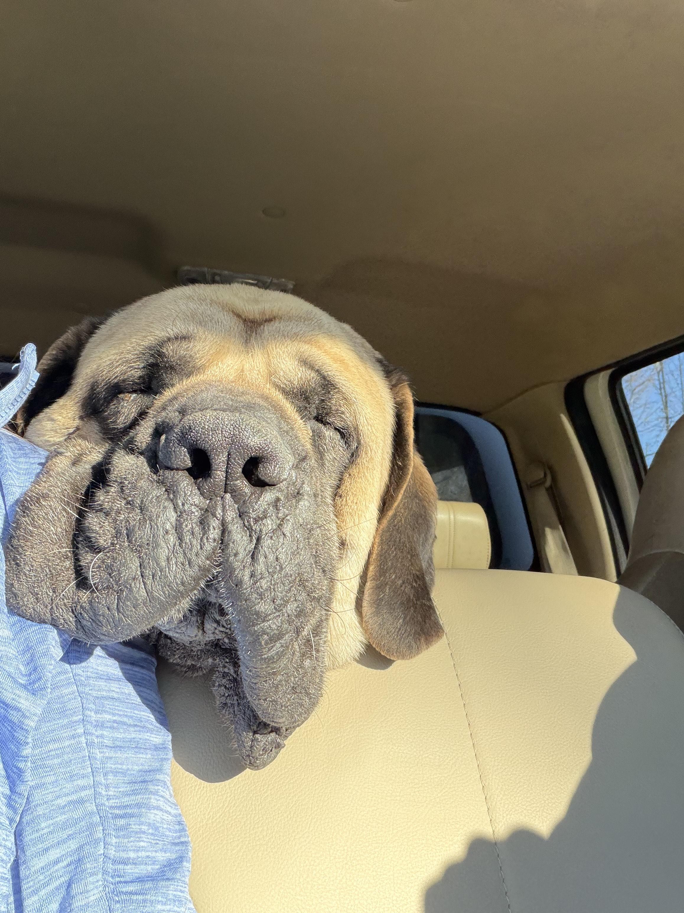 Picasso  Mi thumbnail 2