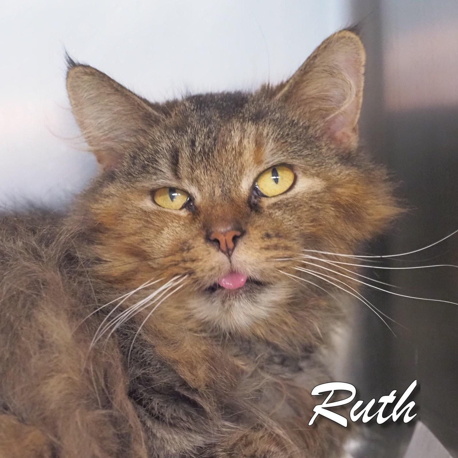 Ruth