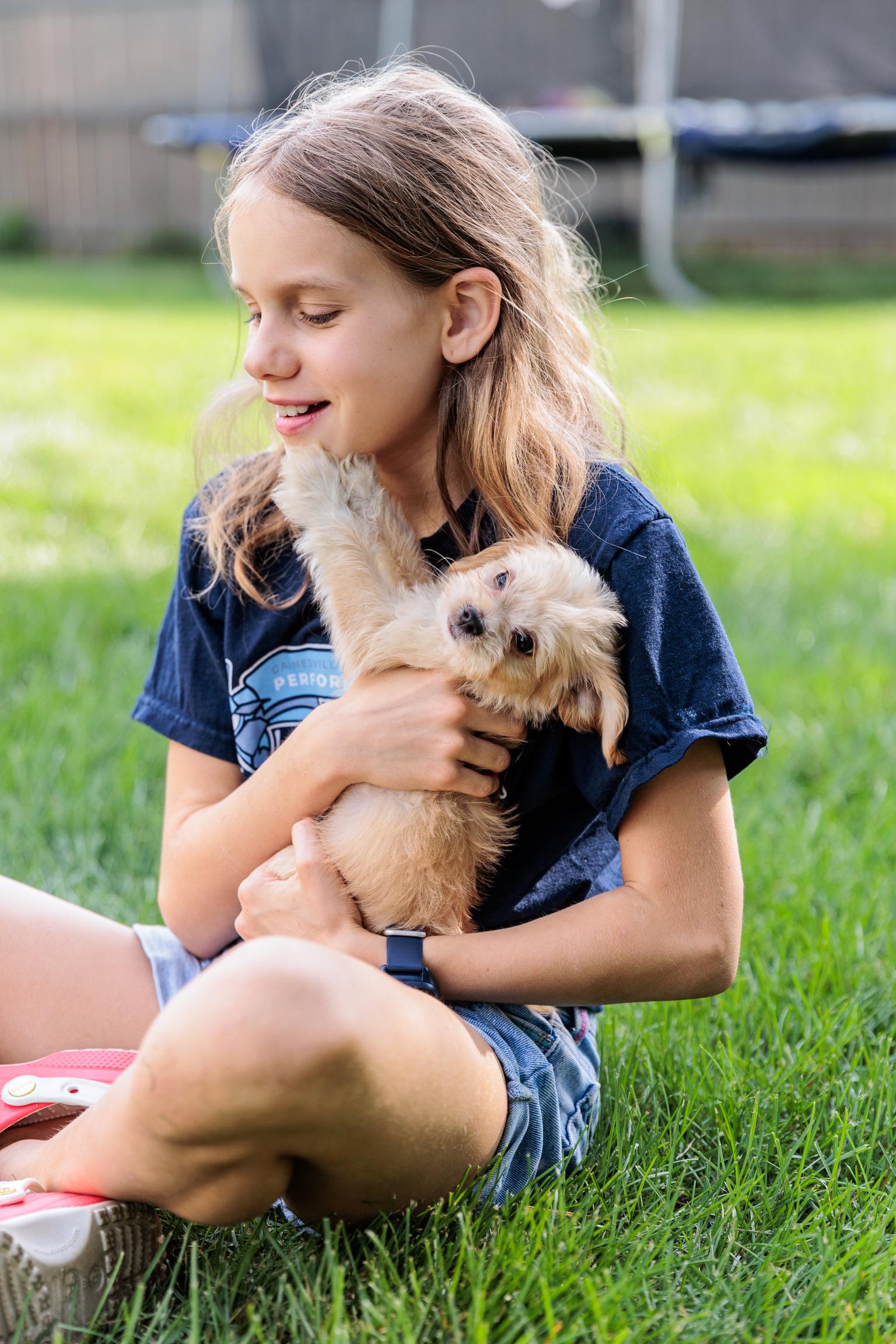 Halo, an adopted mixed breed in Gainesville, VA image 6/6