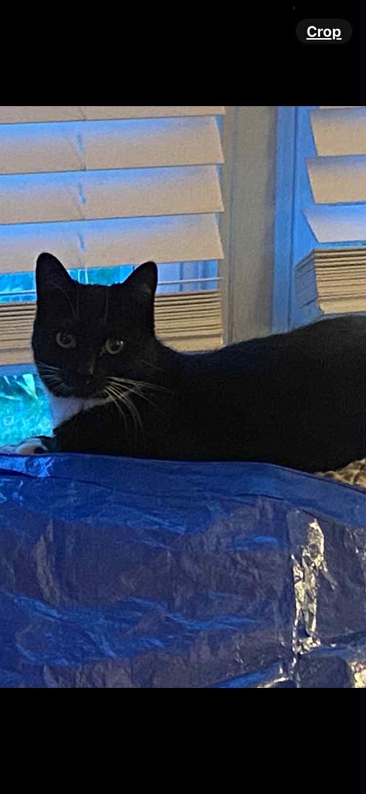 Sophie