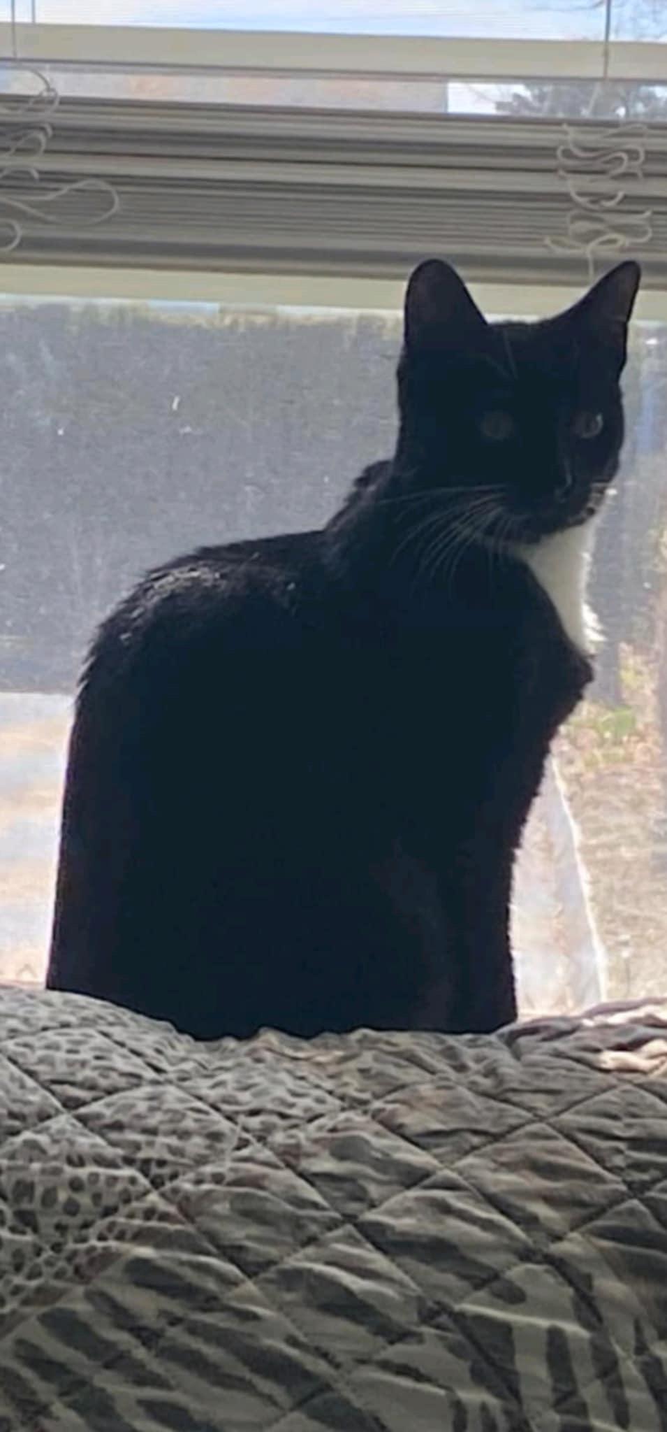 Sophie