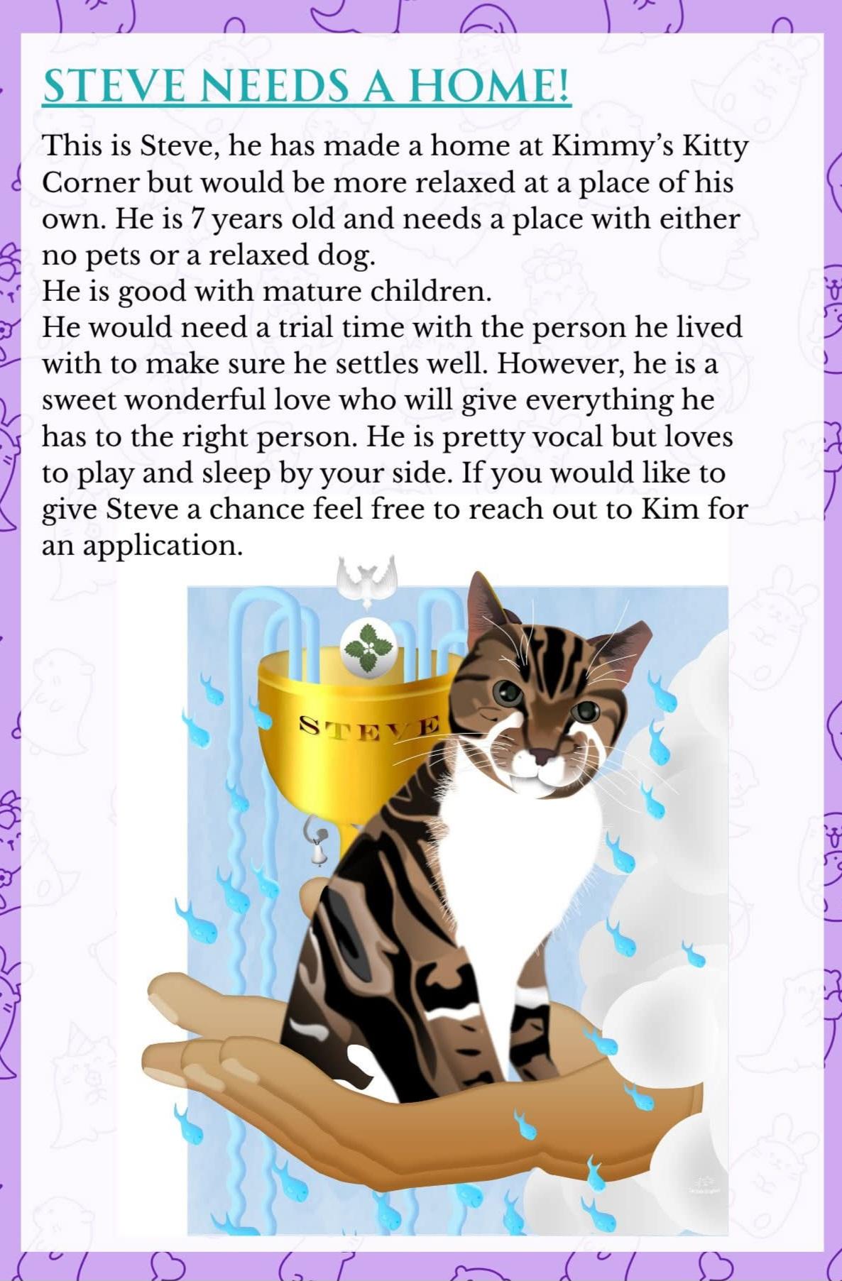 Enlarge STEVE, a ADOPTABLE American Shorthair in Eagle Bridge, NY image 3/5
