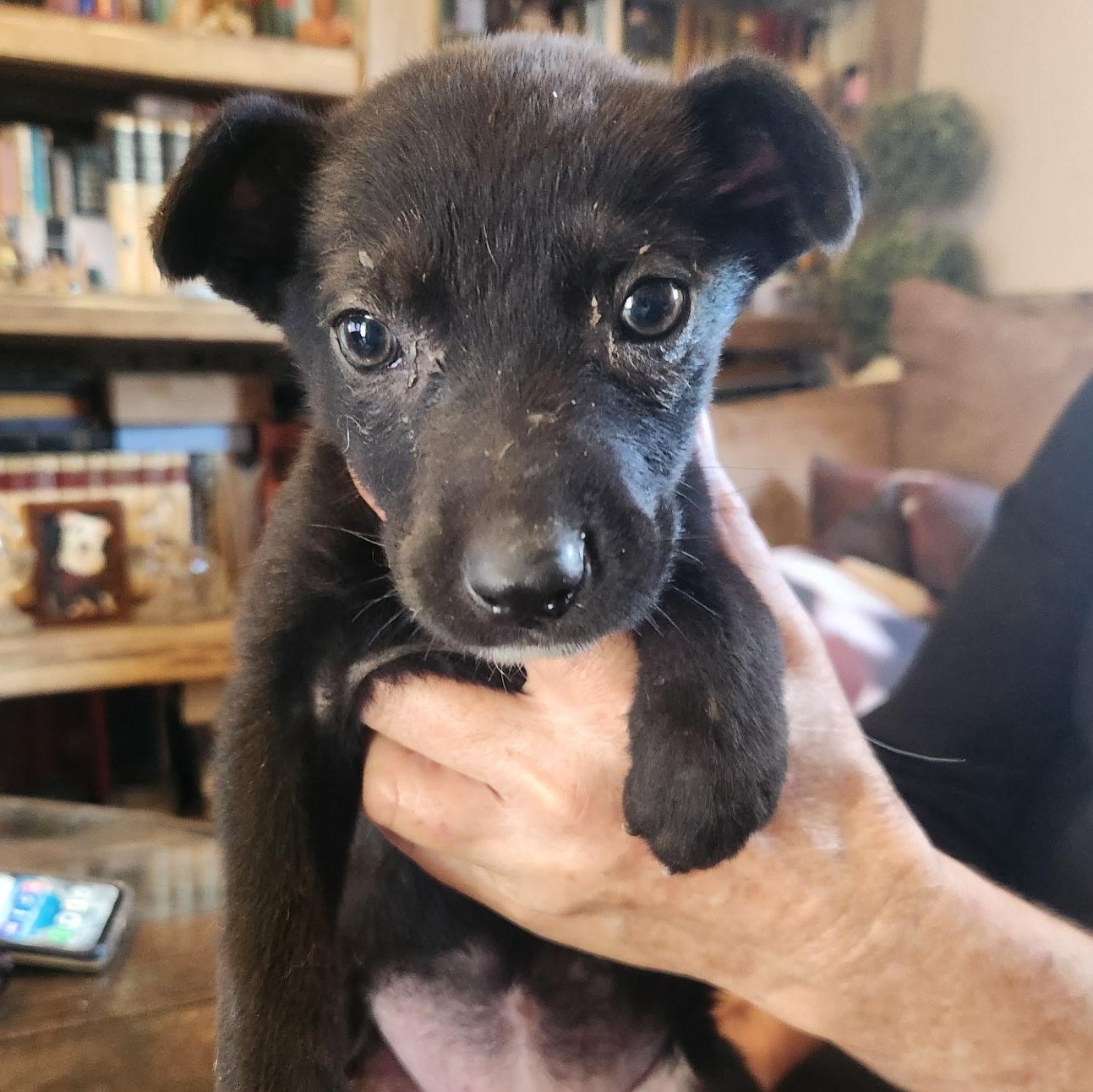 Asia — thumbnail 6