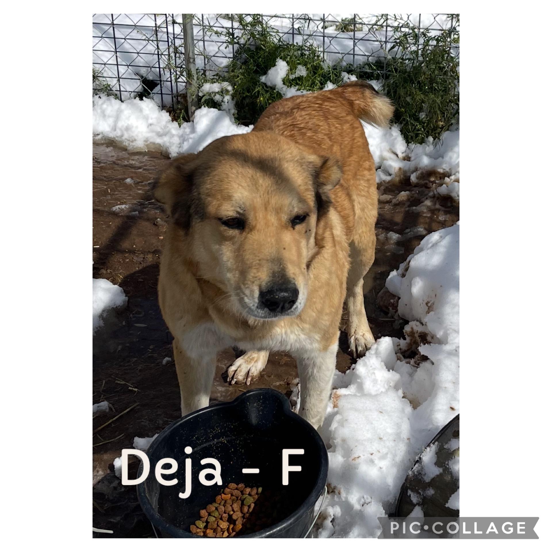 Deja