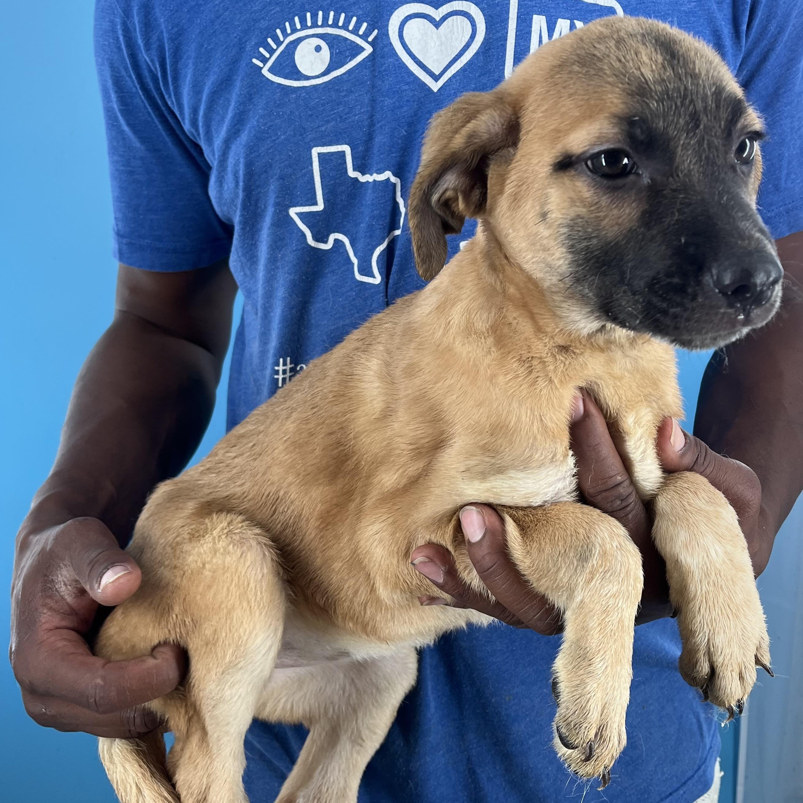 Bree - Local August 22-24, Baby Female unknown