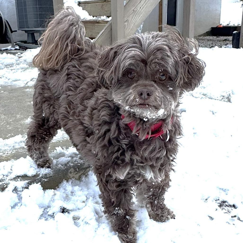 Reese — thumbnail 3