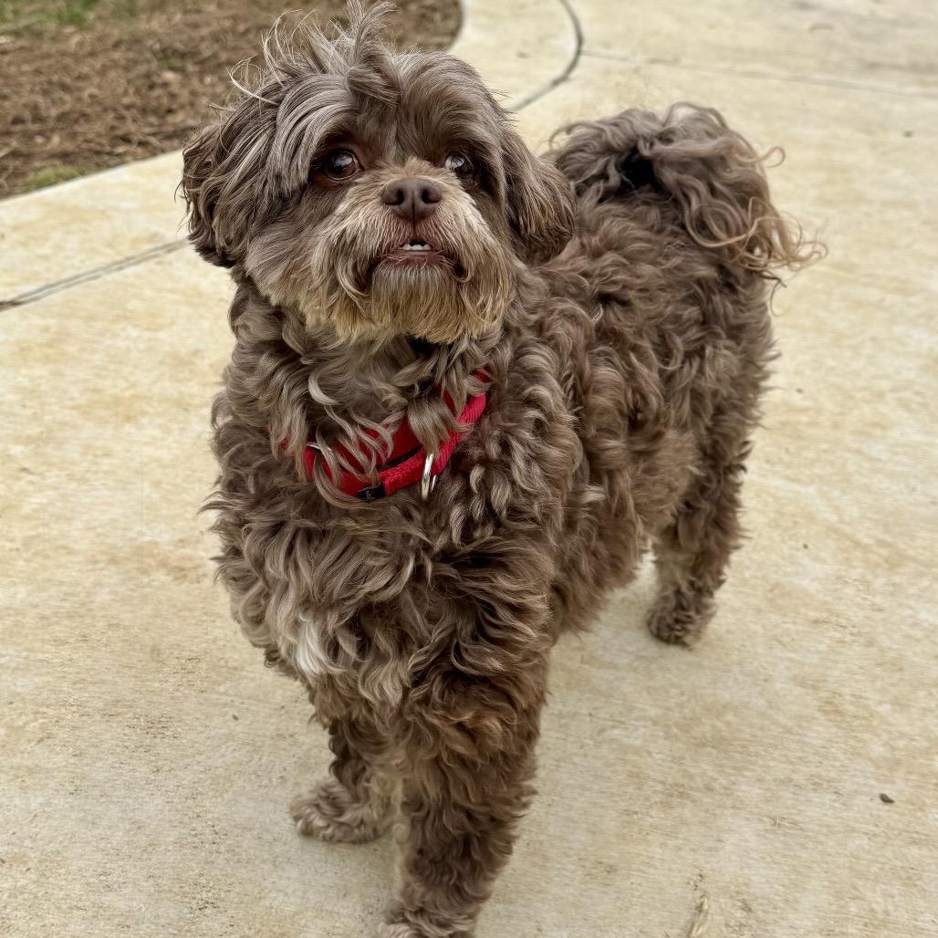 Reese — thumbnail 4