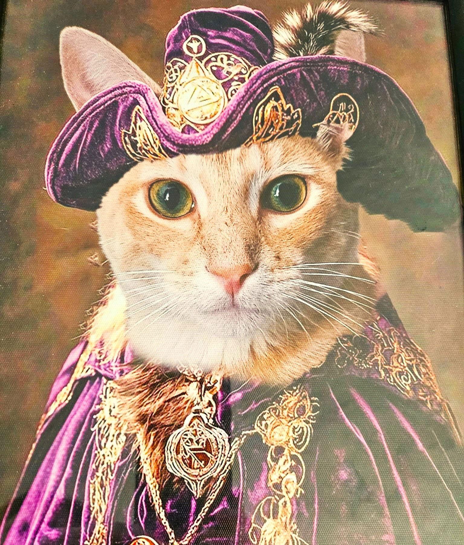 Timmy, a Adopted Domestic Short Hair in Springfield, OR image 2/3