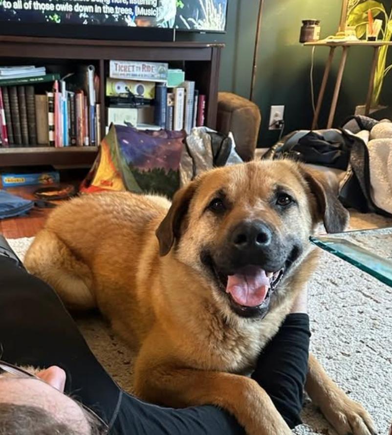 Enlarge Betty Boop, an adopted mixed breed in Calgary, AB image 3/3