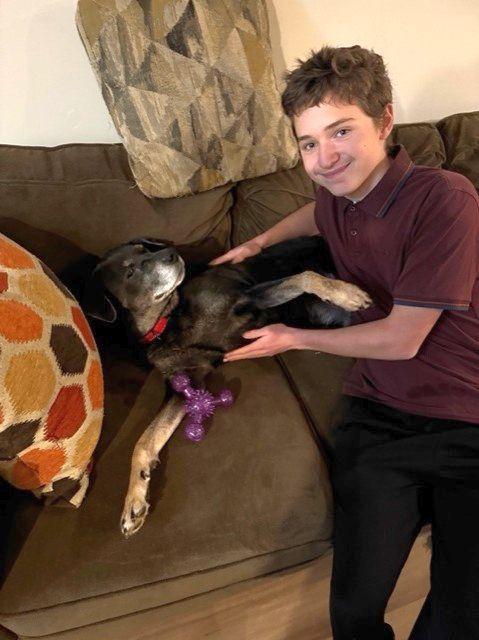 Odin, a ADOPTABLE mixed breed in Duluth, GA image 4/5