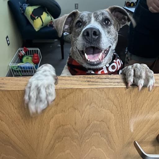 Mama Memphis thumbnail 2