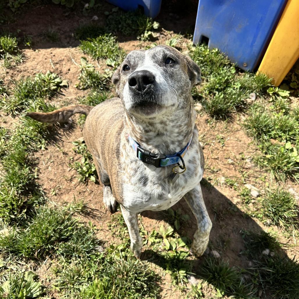 Mama Memphis thumbnail 3