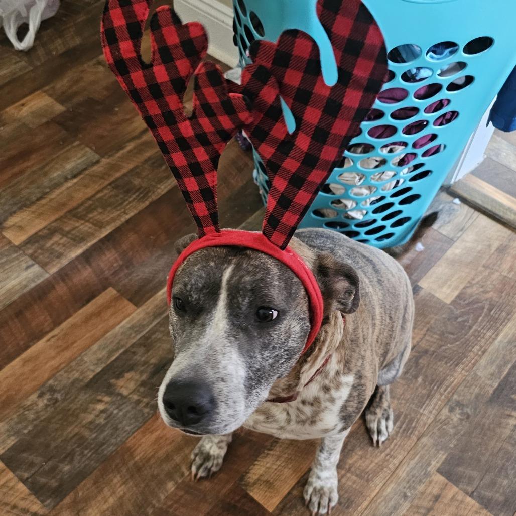 Mama Memphis thumbnail 5