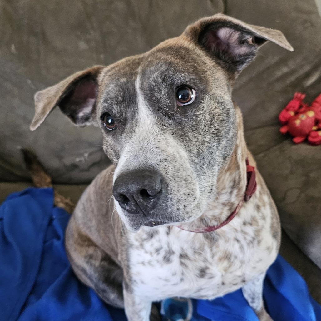 Mama Memphis thumbnail 6