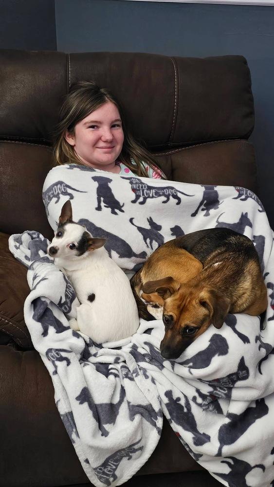 Enlarge Lola, a Adoptable mixed breed in Willingboro, NJ image 4/6