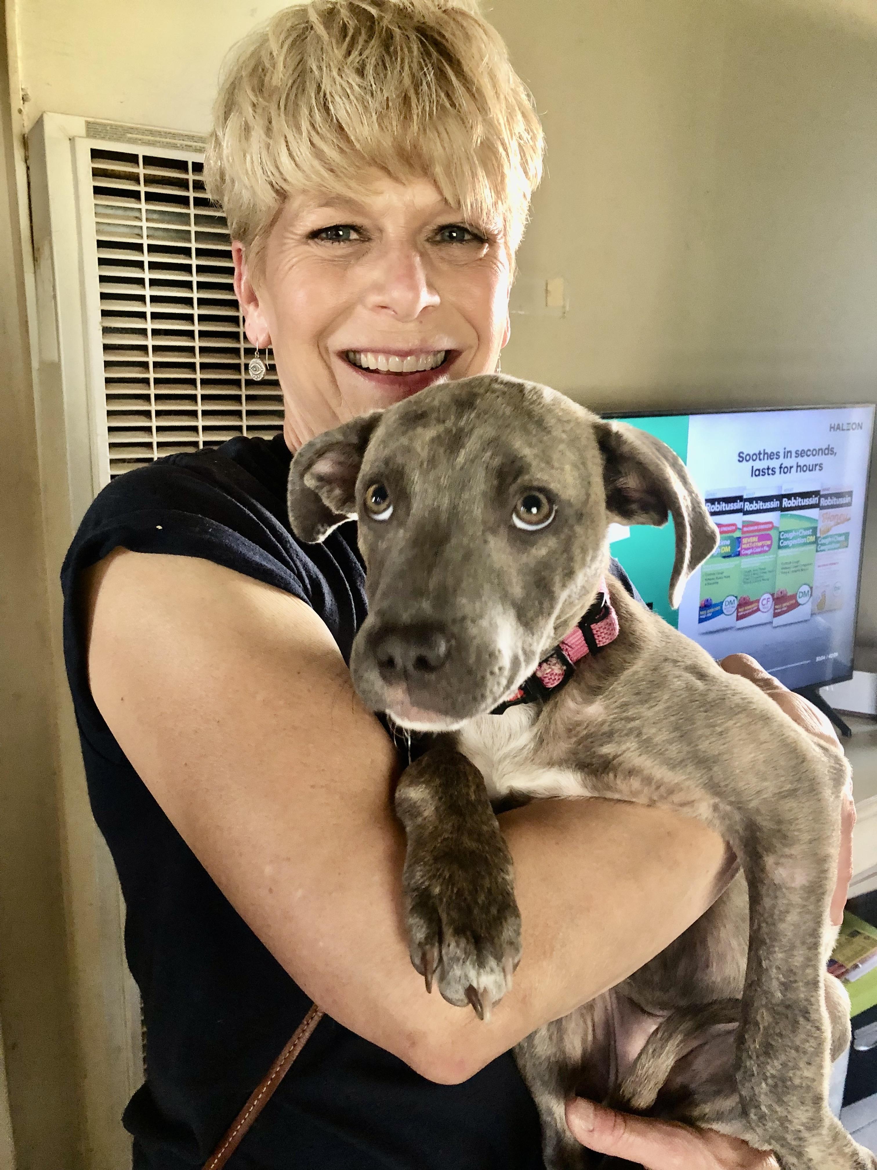 Enlarge PUPPY FAITH, a ADOPTABLE mixed breed in Thousand Oaks, CA image 3/6