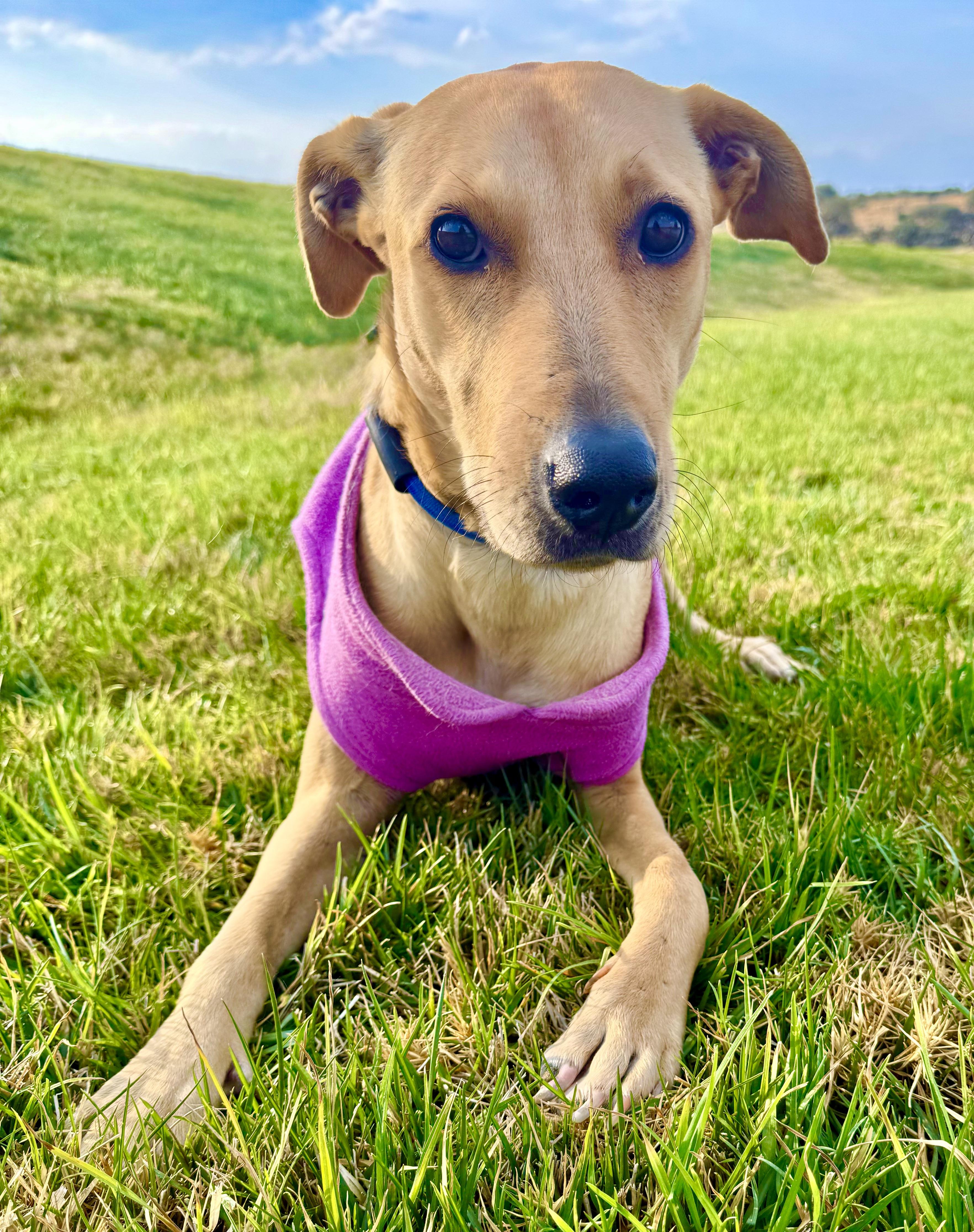 Mila — thumbnail 2