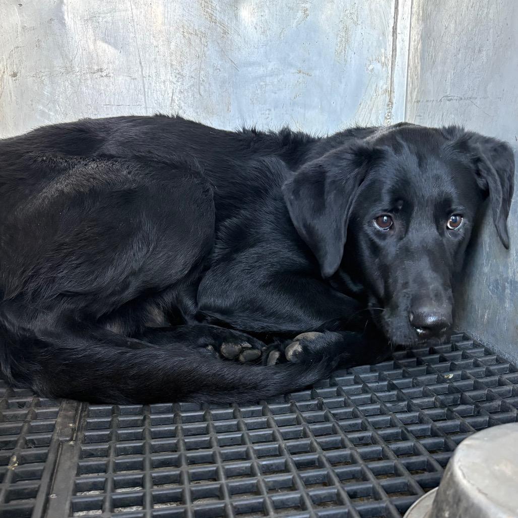 Larry — thumbnail 2