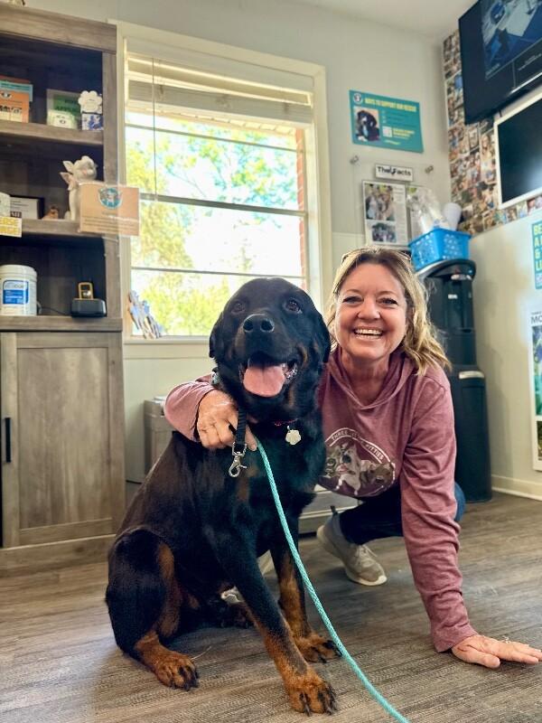 Marcus Bear The Big Gentle Love Bug — thumbnail 2