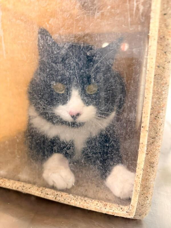 Pozole — thumbnail 2