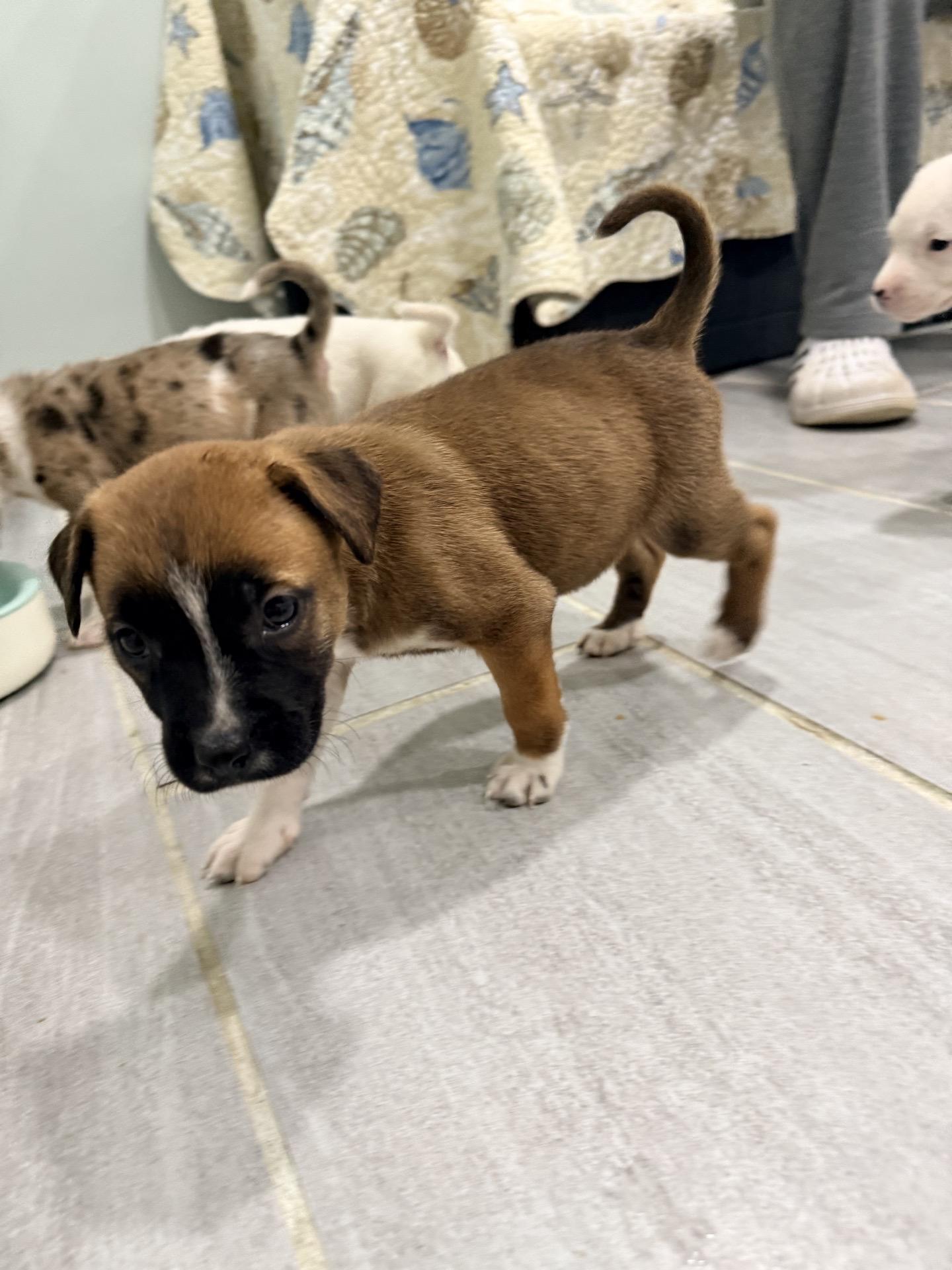 Scrabble thumbnail 4