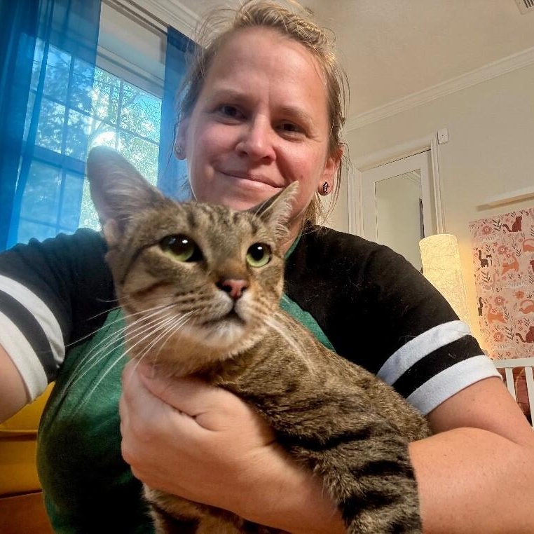 Enlarge Kat Delgado, a Adoptable mixed breed in Friendswood, TX image 4/6