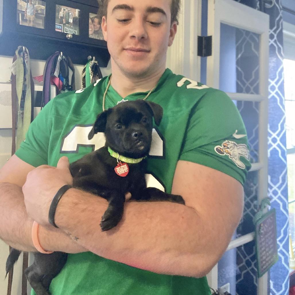 Enlarge RAZZLE, a Adoptable mixed breed in Atco, NJ image 6/6