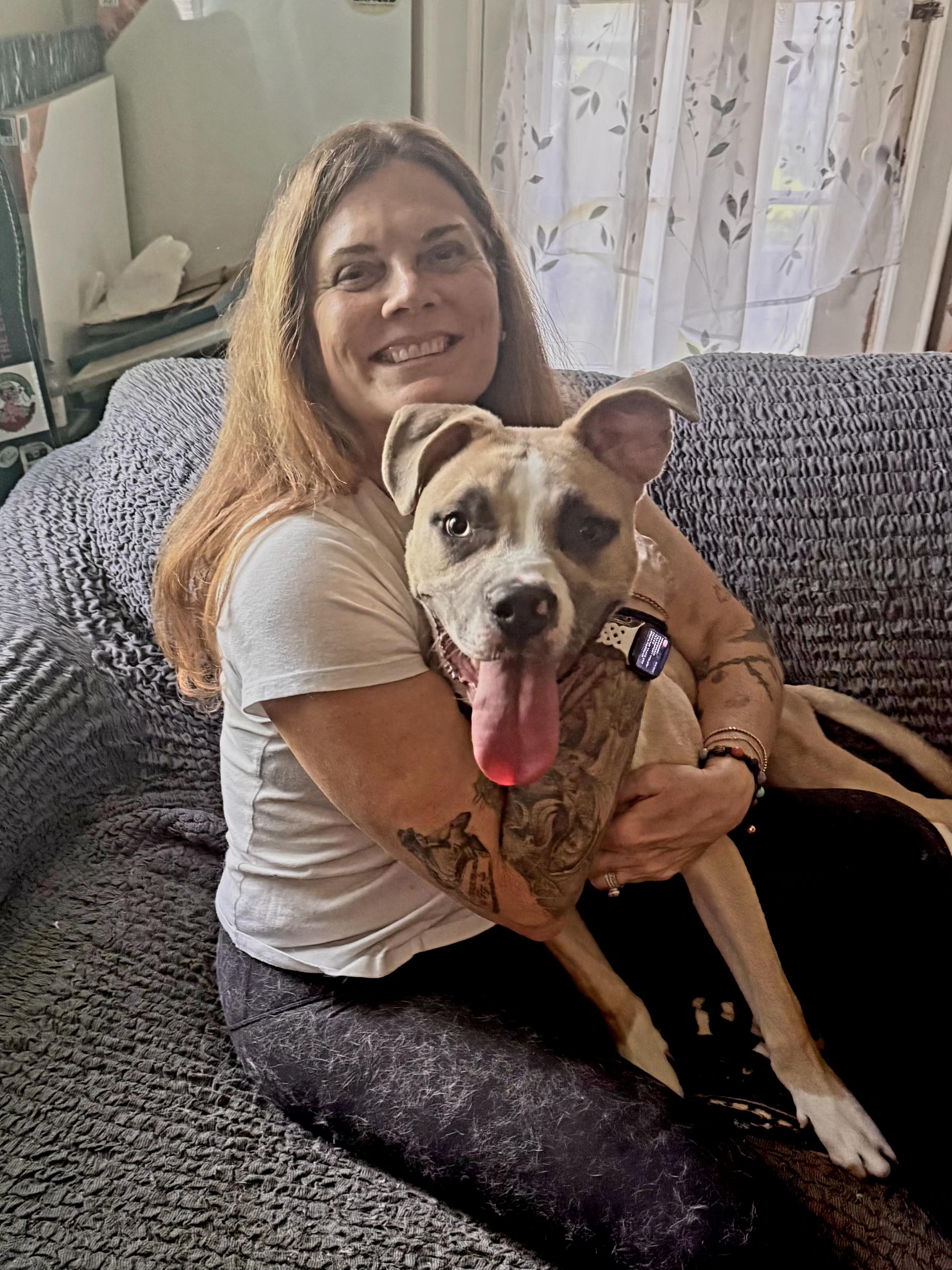 Enlarge Alfonso, a ADOPTABLE mixed breed in Denver, NC image 6/6
