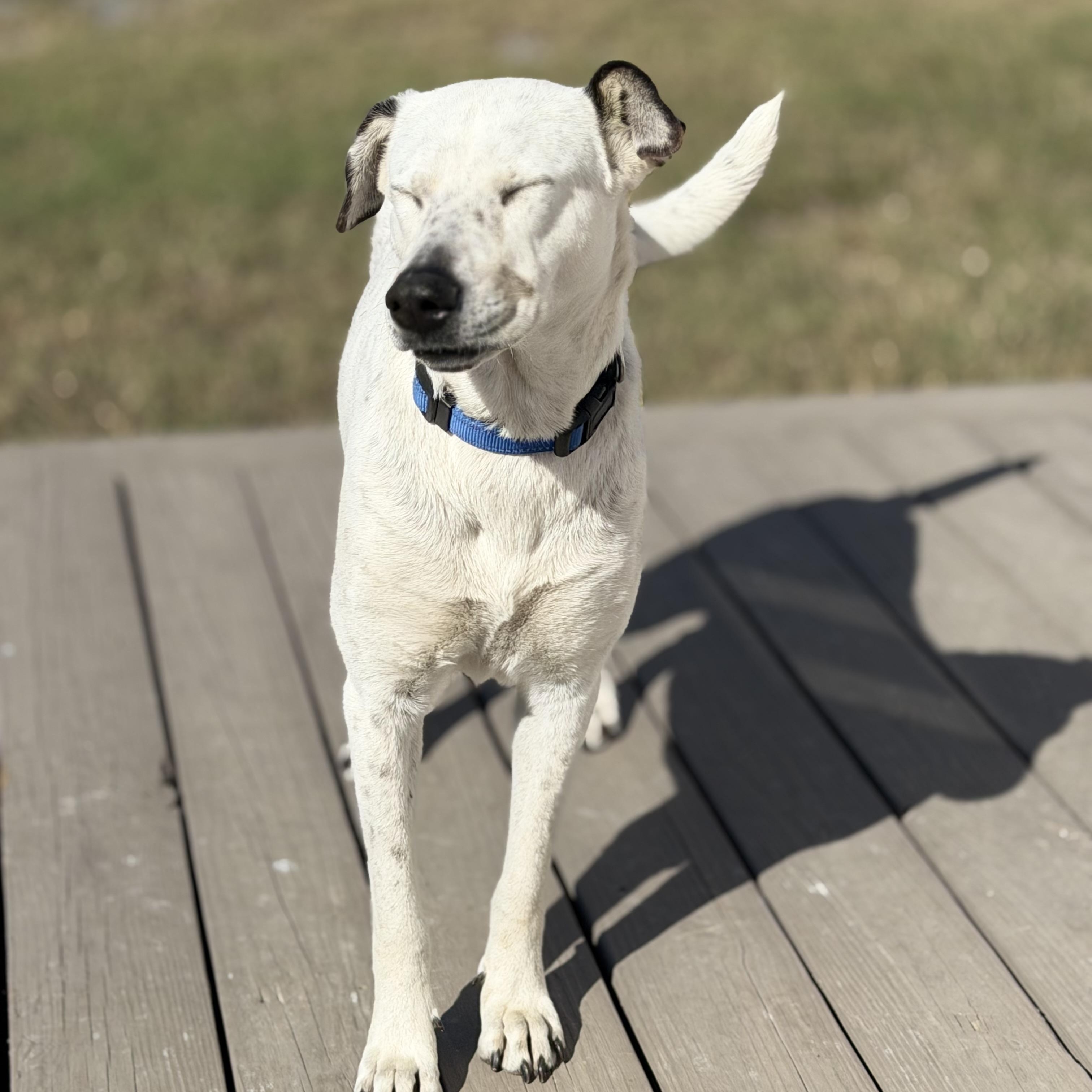 Duka — thumbnail 4