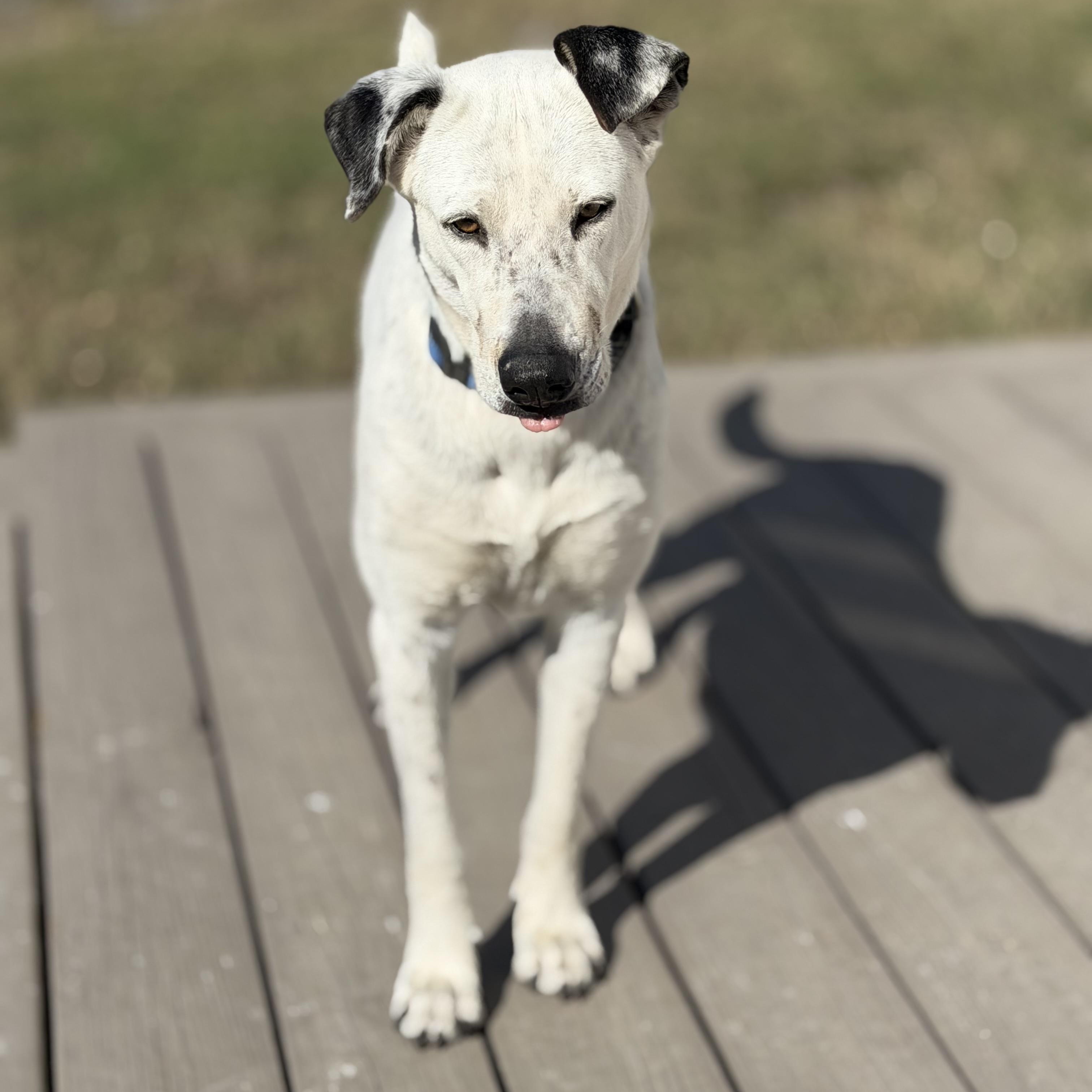 Duka — thumbnail 5