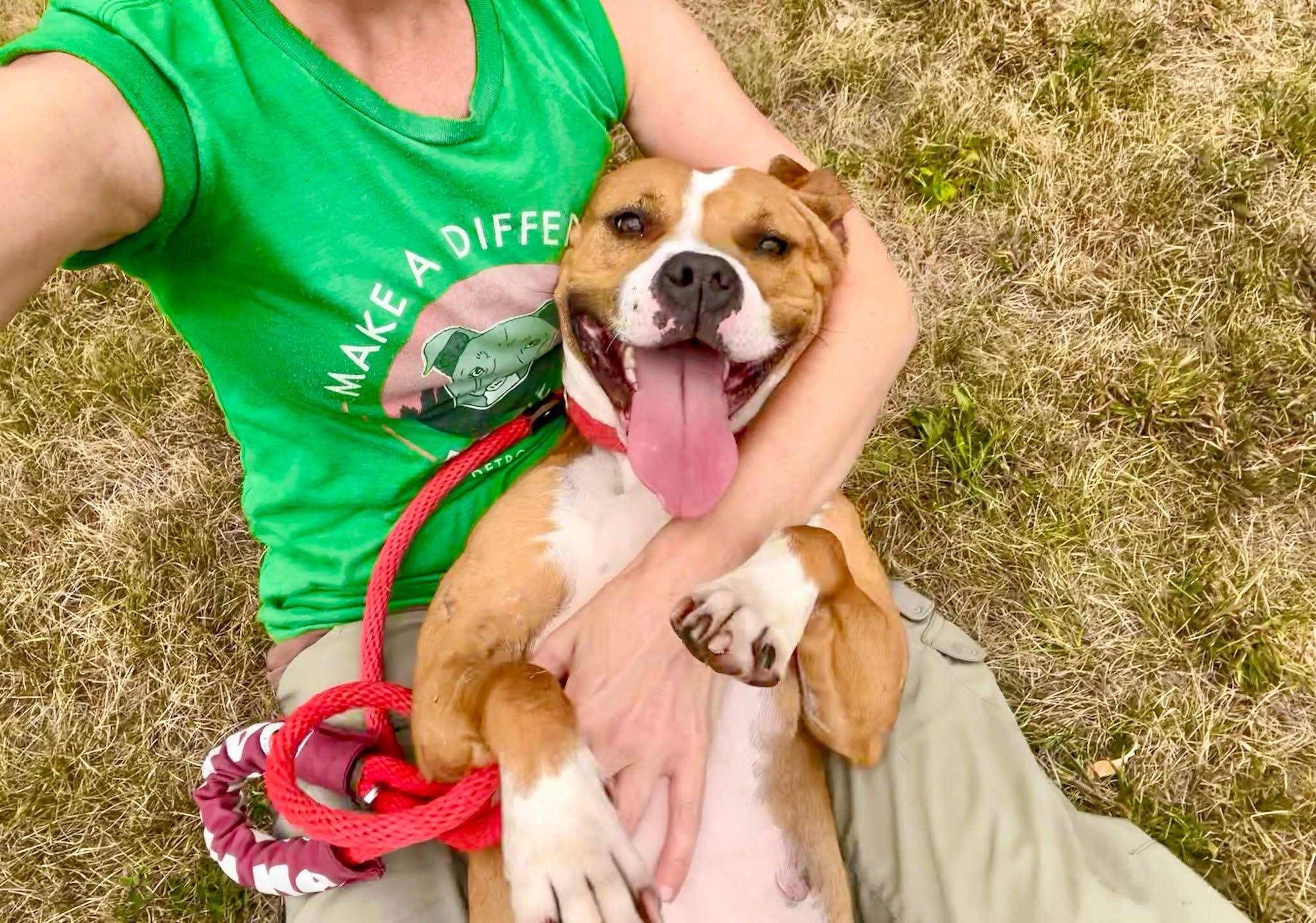 AMY- Needs a foster/forever home! — thumbnail 5