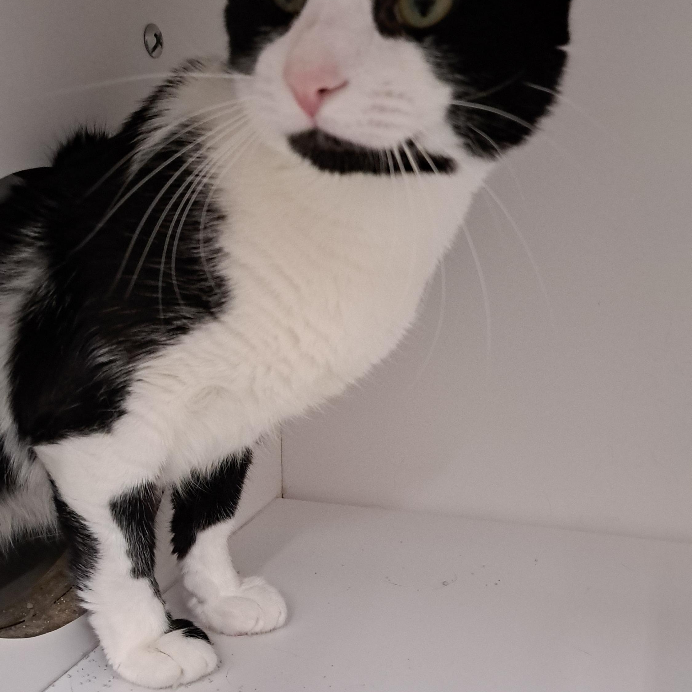 Frank — thumbnail 2