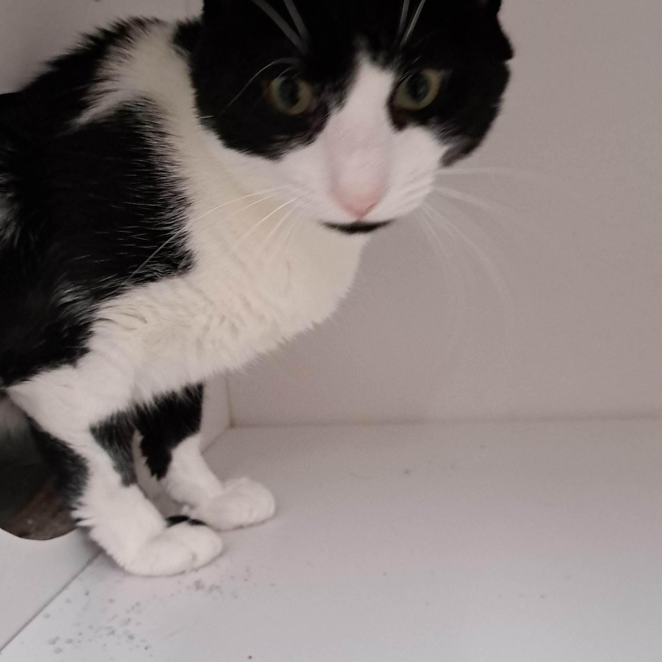 Frank — thumbnail 4