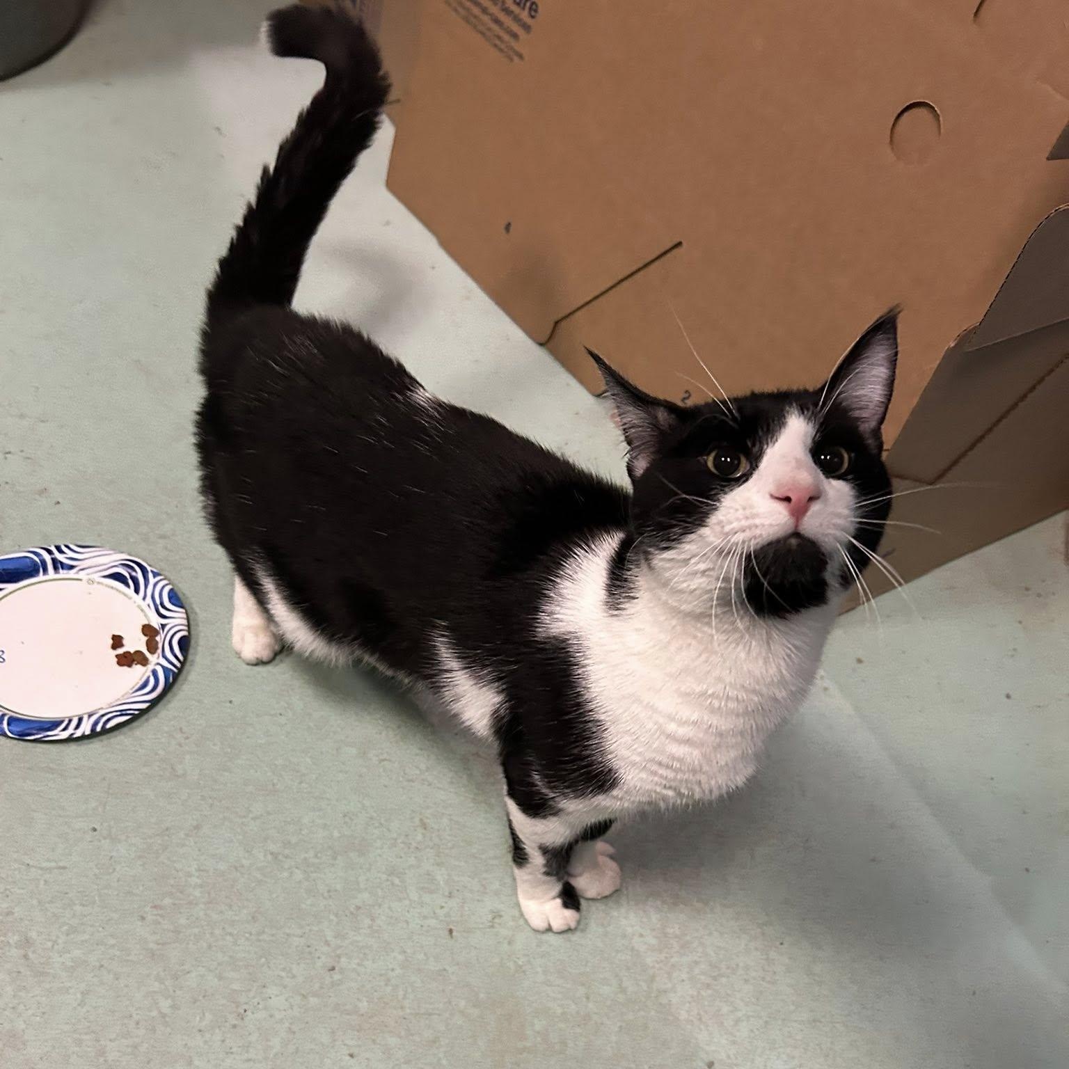 Frank — thumbnail 5