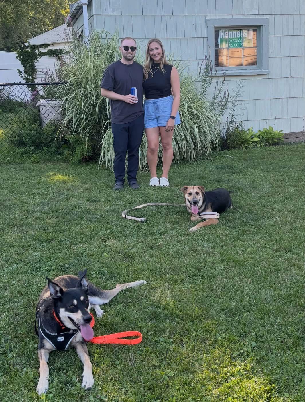 Summer, a Adopted German Shepherd Dog in Tonawanda, NY image 3/3