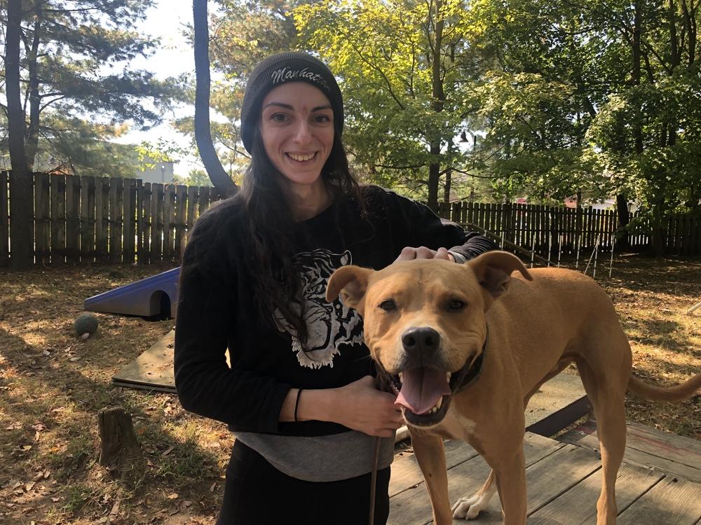 Enlarge Cafe - 17058, a Adoptable mixed breed in Armonk, NY image 3/6