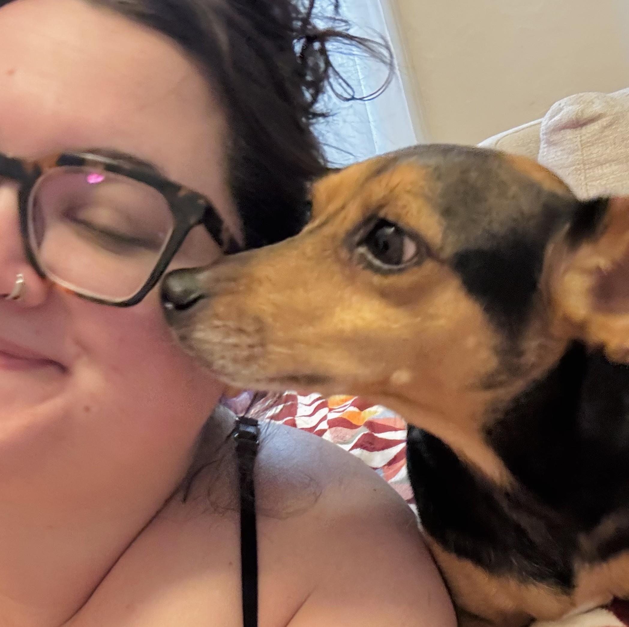 Enlarge Laverne, an adopted mixed breed in Albany, NY image 5/6