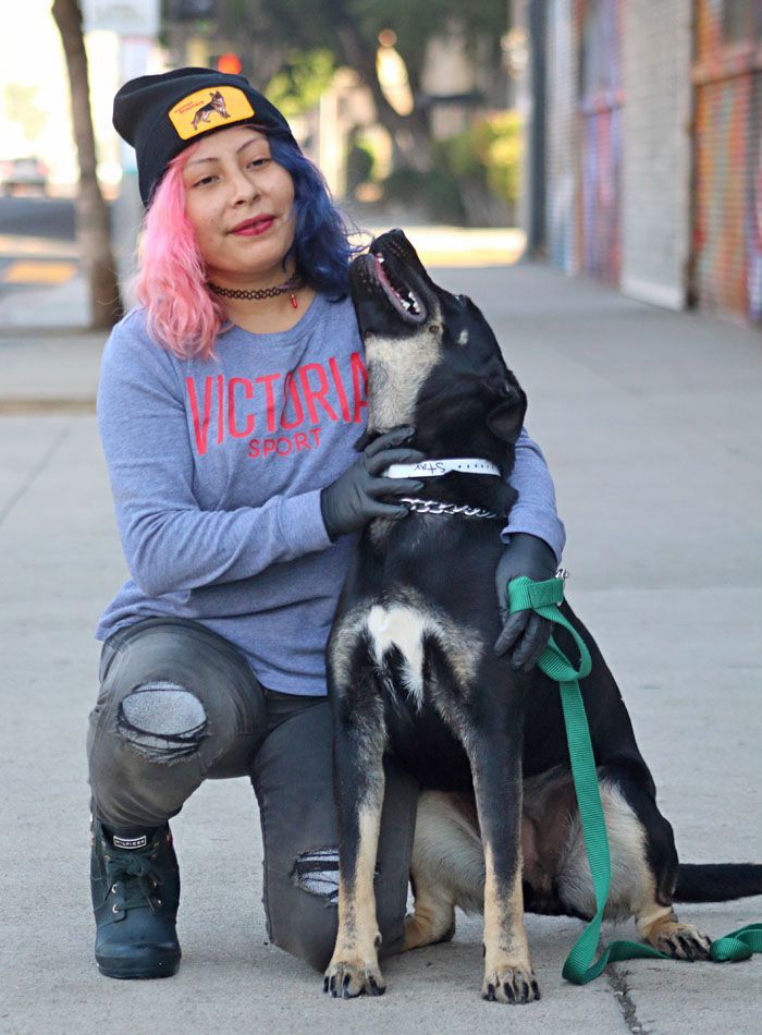 Skylar von Roxy" , a Adoptable mixed breed in Los Angeles, CA image 3/4