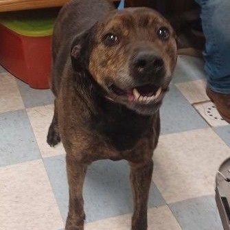 Fletcher, Adult Male unknown