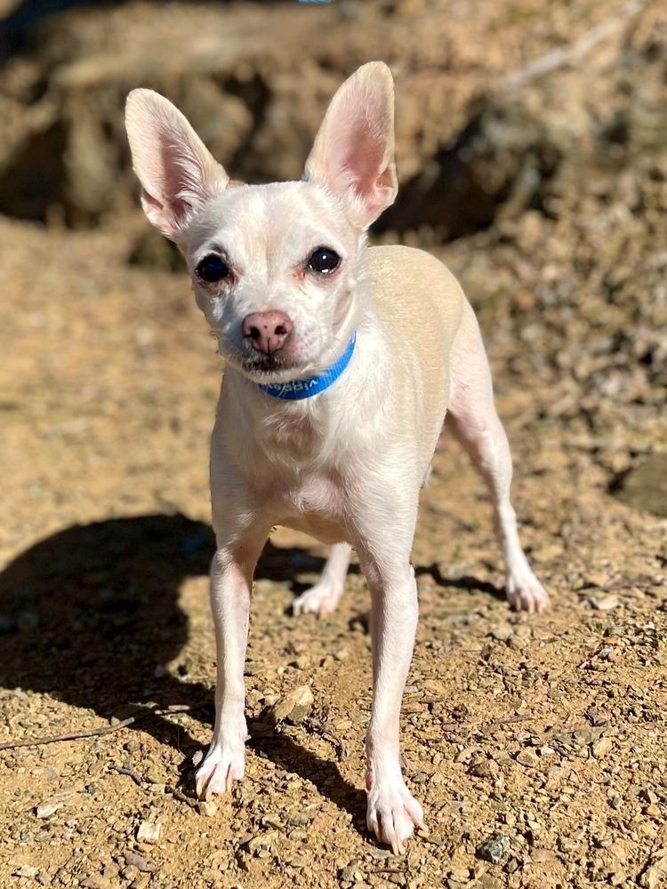 Clementine — thumbnail 2