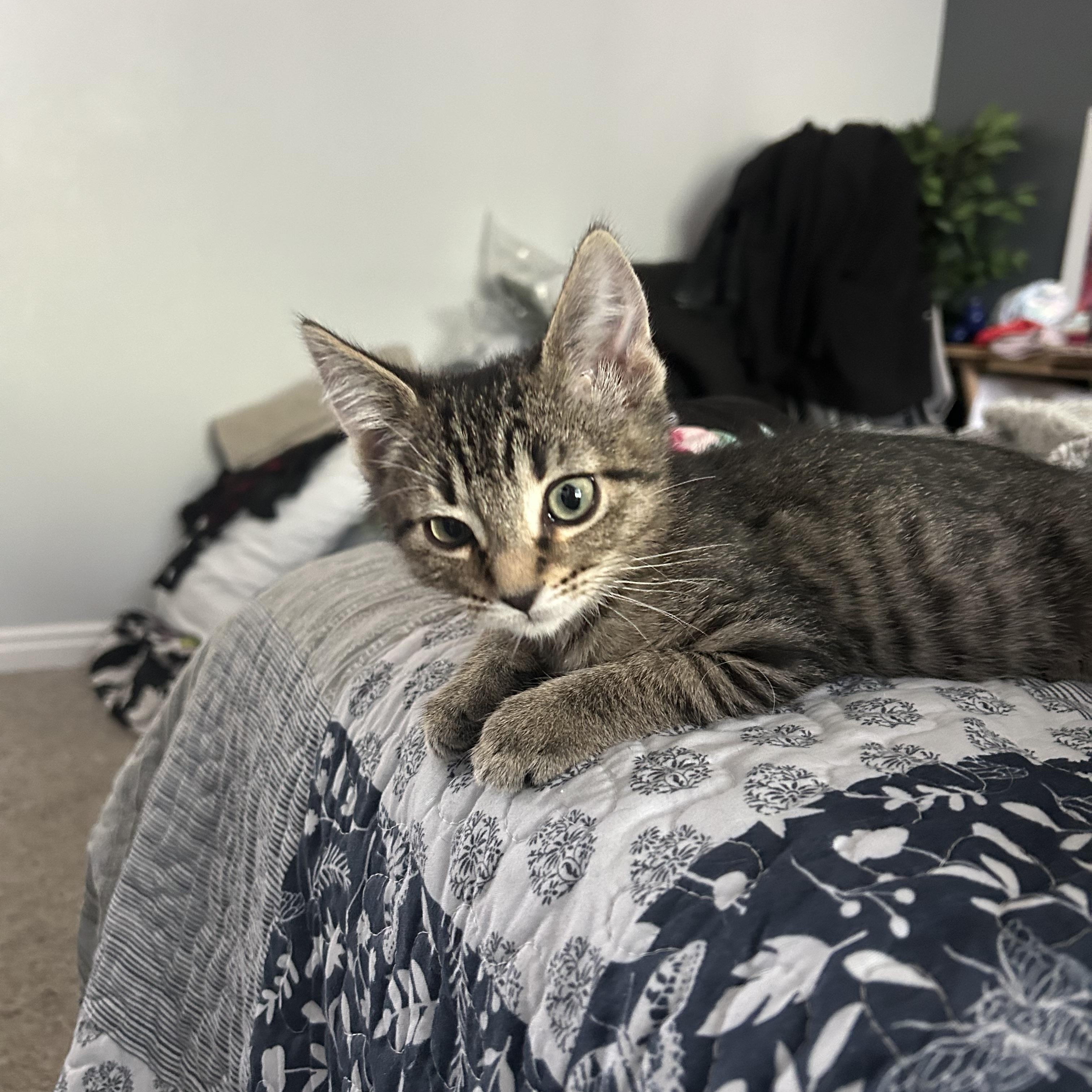 Carlos