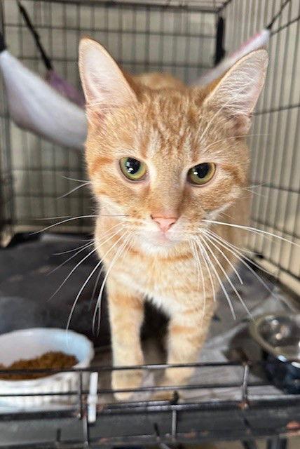 Tracey — thumbnail 2