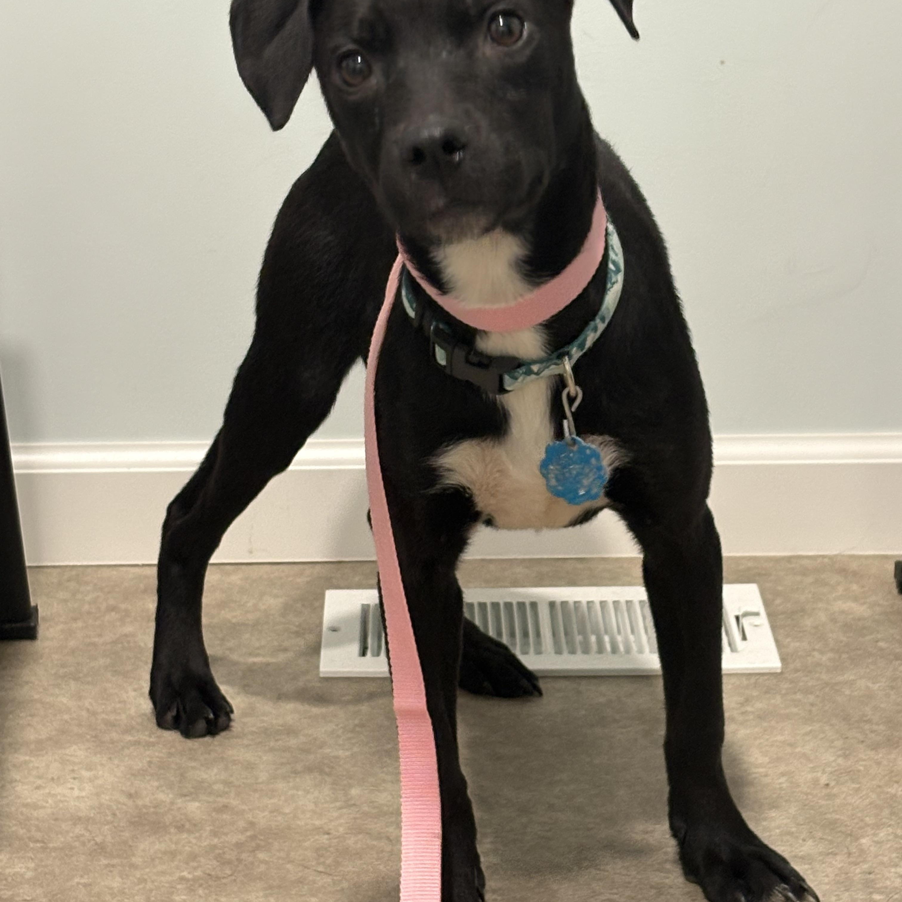 Peppa