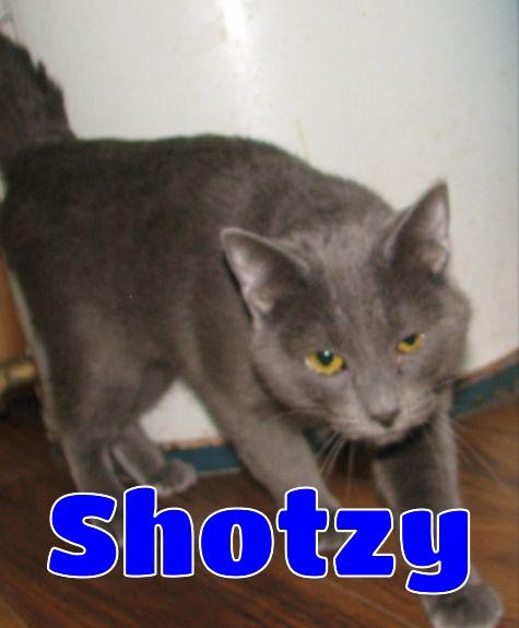 #5401 Shotzy