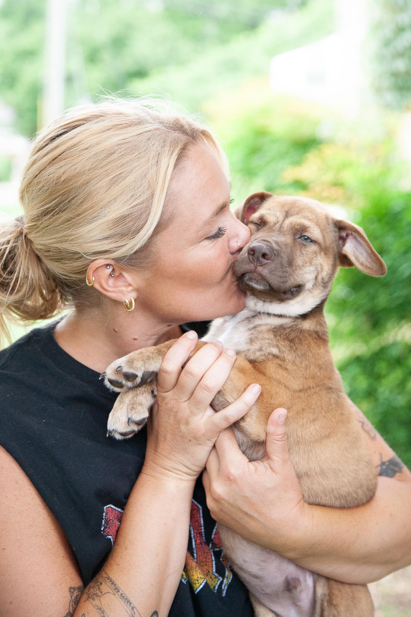 Crispin, a Adoptable Shepherd in Brentwood, TN image 3/4