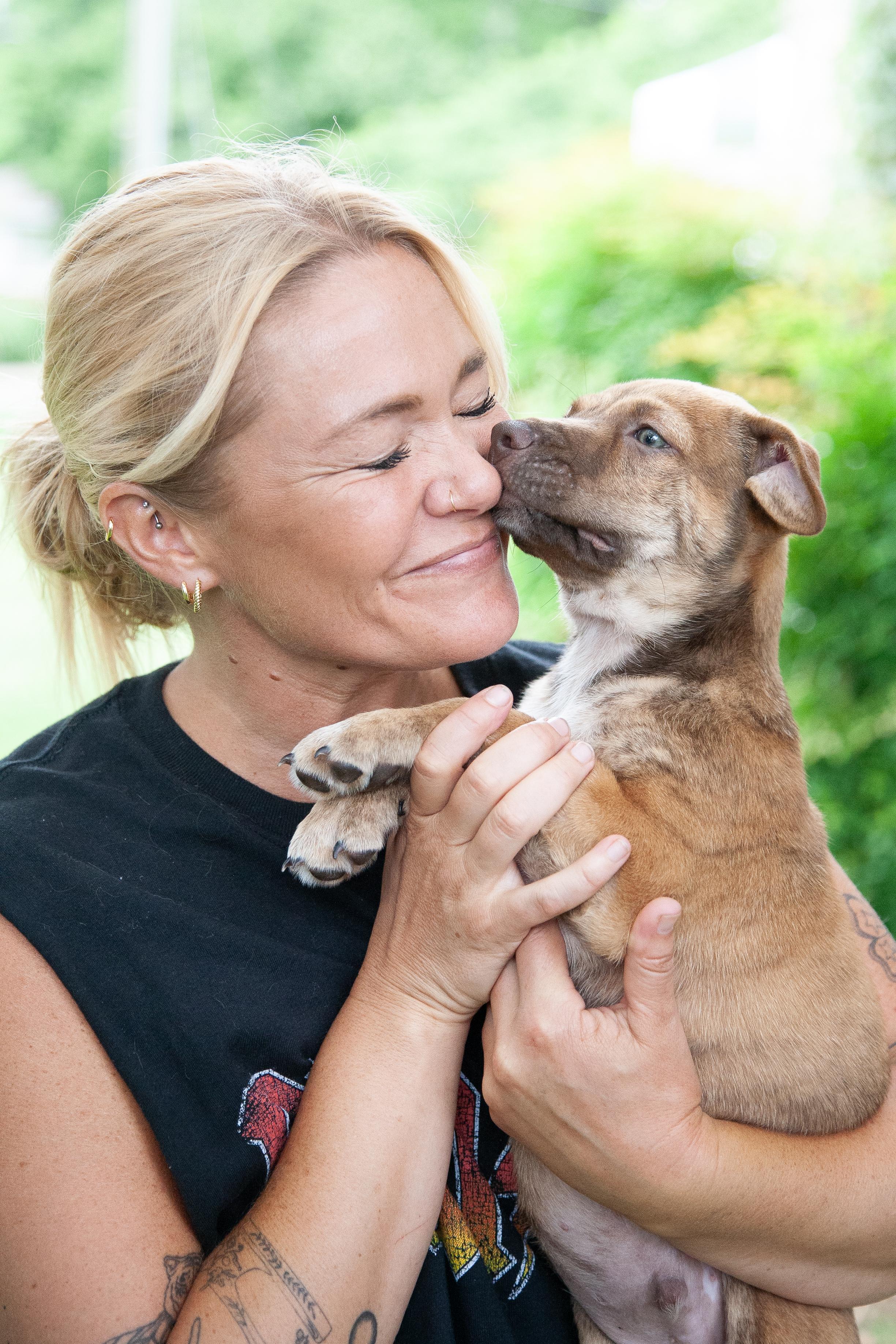 Crispin, a Adoptable Shepherd in Brentwood, TN image 2/4