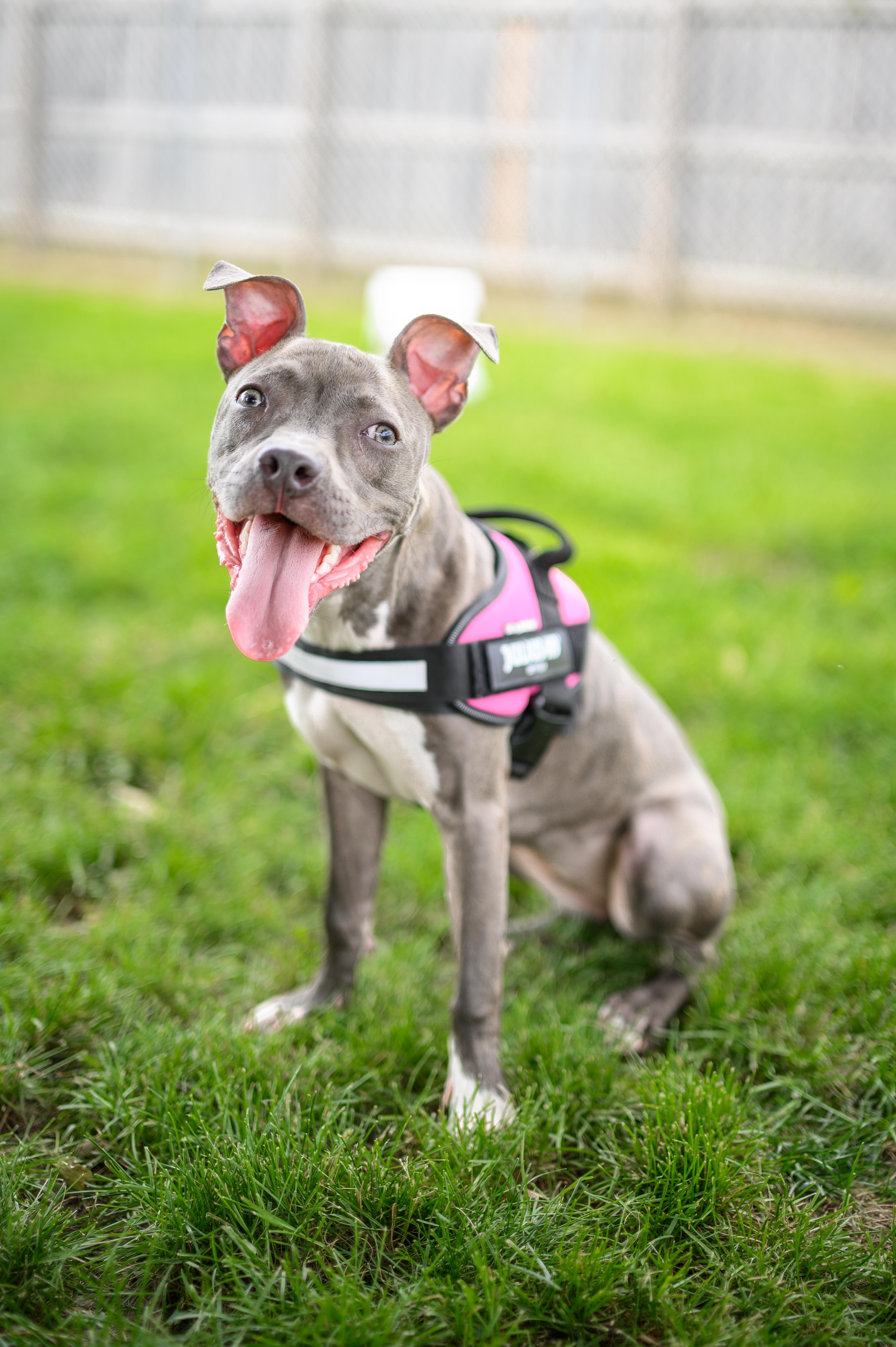 Gretchen thumbnail 5