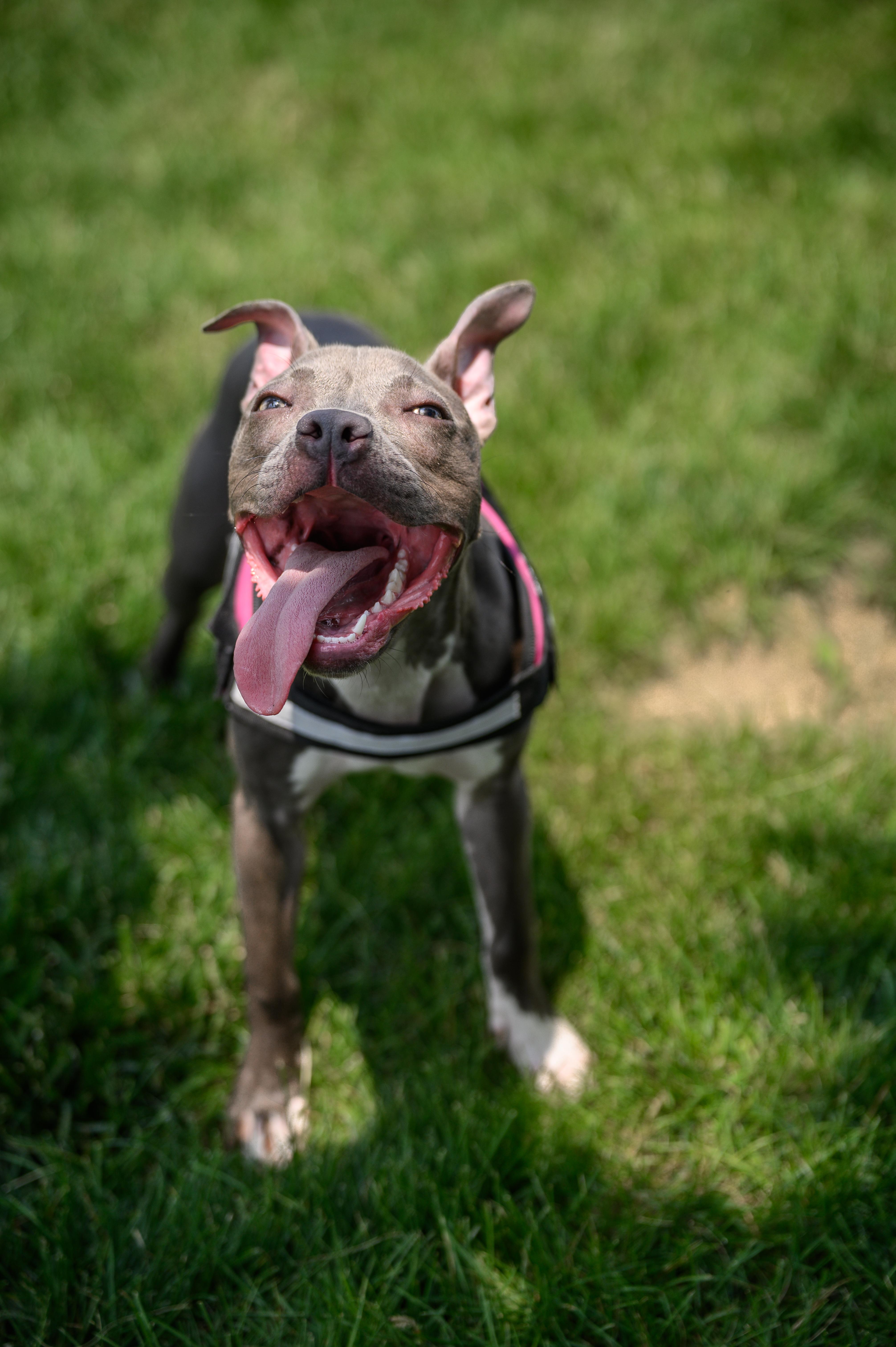 Gretchen thumbnail 7