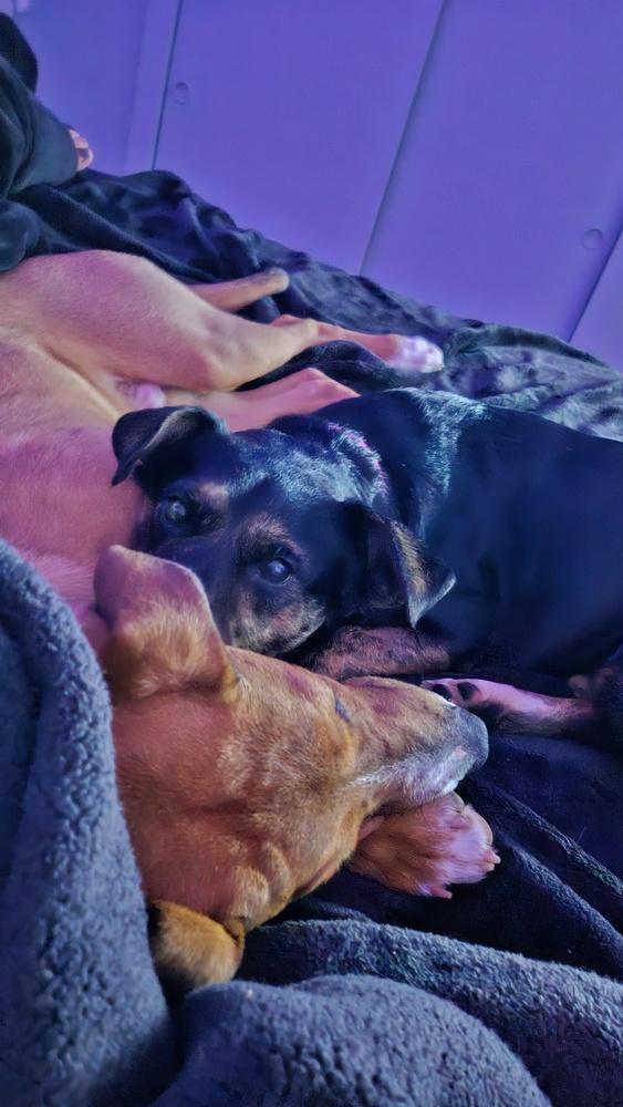 Mable — thumbnail 4